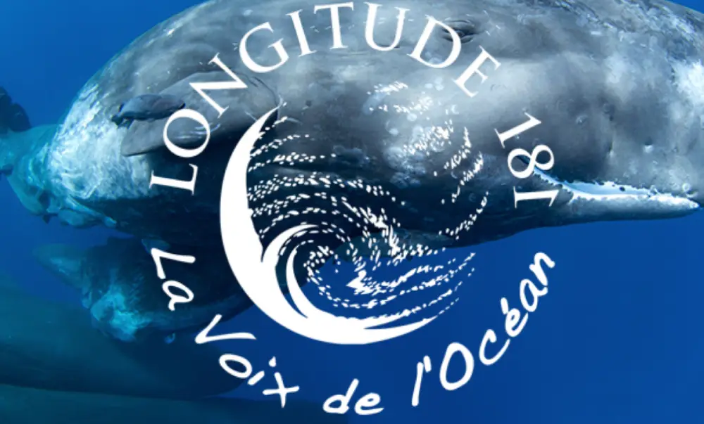 Longitude 181